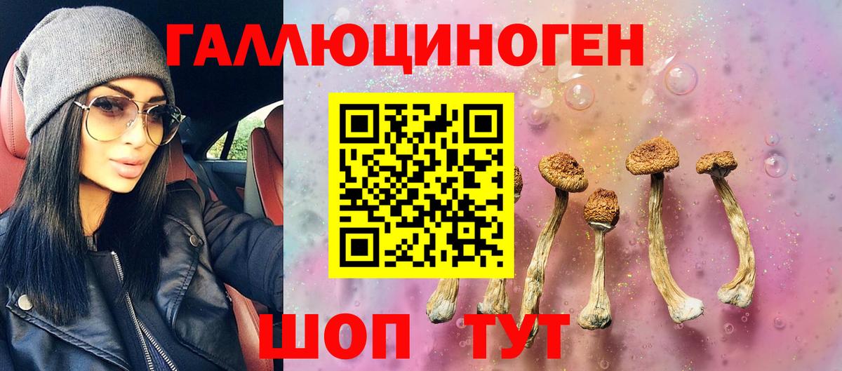 Бийск  Псилоцибиновые грибы Cubensis  где купить наркотик  Галлюциногенные грибы Magic Shrooms  Вход с VPN 